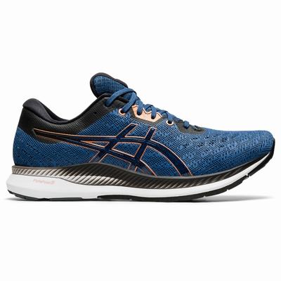 Férfi Asics Evoride Futócipő AS2341980 Sötétkék